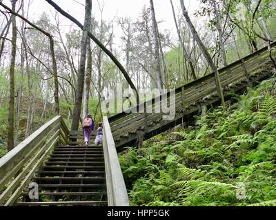 Schwestern, die Treppenstufen aus des Teufels Millhopper geologischen State Park, Gainesville, Florida, USA Stockfoto