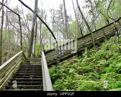 Blick in die Kamera als sie und ihre Schwester Mädchen steigen die Schritte aus des Teufels Millhopper geologischen State Park, Gainesville, Florida, USA Stockfoto