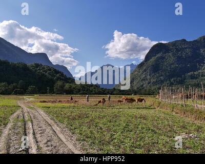 Feldweg neben einer Rasen-Wiese mit Tieren und Menschen in schöner Natur Hügel Bergszene Wolke Stockfoto