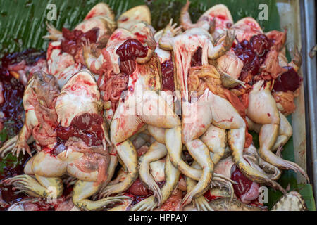 Dunkelhäutigen Frösche zum Verkauf in Bangkok-Markt - chinesische essbare Frösche (Hoplobatrachus Rugulosus) in Khlong Toei Pier Markt, Zentrum von Bangkok Stockfoto