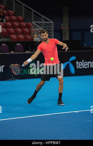 Sofia, Bulgarien - 27. November 2015: Sofia, Bulgarien, Training auf Grigor Dimitrov für demonstrative Match in der Arena Armeec Hall, Sofia, Bulgarien Stockfoto