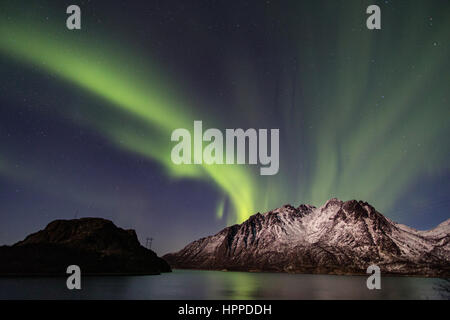 Aurora Borealis über Lofoten Inseln, Norwegen, Europa Stockfoto