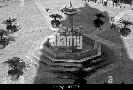 Fuente de Los Leones, Plaza de San Francisco, Havanna, Kuba Stockfoto