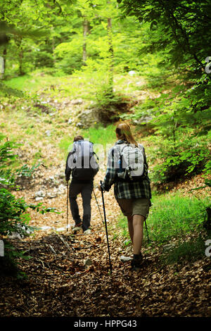 Junges Paar Nordic-walking-Weg in den Wald, Rückansicht Stockfoto