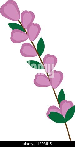 Farbe-Silhouette-Blumen mit ovalen Blättern und Verzweigungen Stock Vektor
