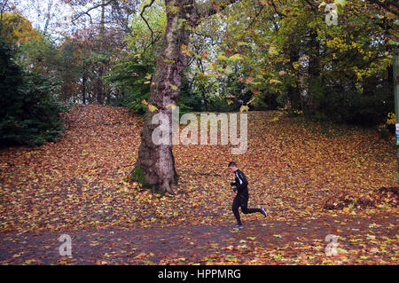 Mann im Trainingsanzug joggt im Wald während des Tages in Gent, Belgien Stockfoto