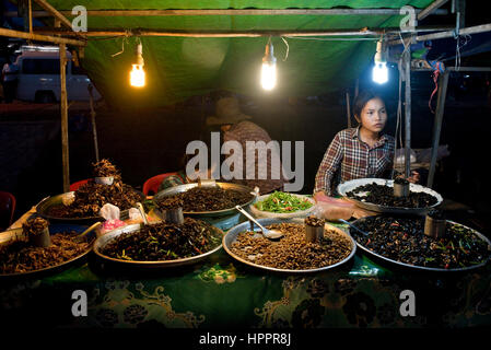 Kjoung Sie Traditonal Nachtmarkt darauf ausgerichtet, die Einheimischen vor den Toren Seam Reap mit der lokalen Bevölkerung verkaufen, Käfer, Larven, Insekten und Käfern. Stockfoto