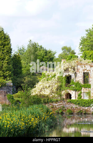 Romantischen Sommergarten, ruiniert mit weißen Glyzinien wachsen auf alten Steinhaus, an einem See. Stockfoto