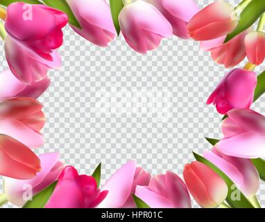 Schöne rosa Tulpe realistischen Rahmen-Vektor-Illustration Stock Vektor