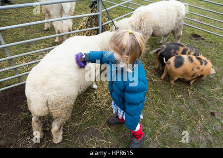 Ein zwei Jahre altes Kind / Kleinkind streicheln und Bürsten eine junge Ziege / kid bei einem Besuch von einer Besuch urban Farm, einer Vorstadt / Schule. VEREINIGTES KÖNIGREICH. Stockfoto