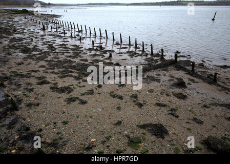 Küstenschutz gegen Erosion Dmnbarton Schottland Stockfoto