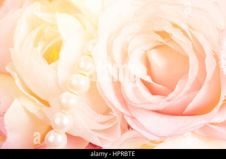 Süße Farbe Rosen in weichen Hintergrundfarbe für flora Stockfoto