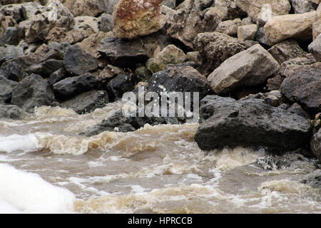 Wellen-Spritzer auf den Felsen am Coralville Dam #2 von 2 Stockfoto