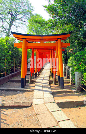 Senbon Torii Toren an Nezu-Jinja Shinto Schrein Tokio Japan Stockfoto