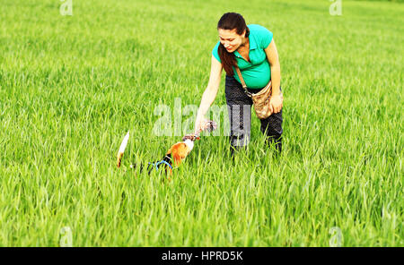 Glückliches Mädchen spielen mit Beagle Hund in Grasgrün Stockfoto