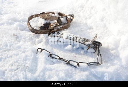 Inuit in Kanada sind Jagd Tiere für Pelz Stockfoto