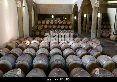 Der Weinkeller in Durbanville Hills Weingut in der Nähe von Cape Town, Südafrika. Stockfoto