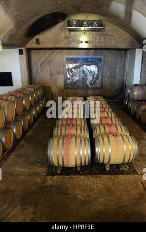 Der Weinkeller in Durbanville Hills Weingut in der Nähe von Cape Town, Südafrika. Stockfoto