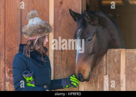 Mädchen und Pferde Stockfoto