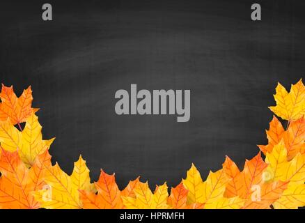 Herbst Hintergrund mit realistischen Herbst Ahorn Blätter auf Tafel. Zurück zu Schule Tafel Banner Vektor Stock Vektor