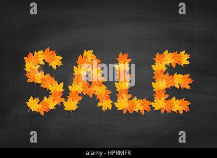 Herbst Ahorn Blätter auf Tafel Hintergrund angeordnet in Wort Verkauf Stock Vektor