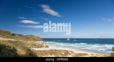 Dunedin, Otago, Neuseeland. Blick über Sandfly Bay von Dünen hinter dem Strand, Otago Peninsula. Stockfoto