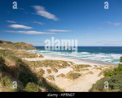 Dunedin, Otago, Neuseeland. Blick über Sandfly Bay von Dünen hinter dem Strand, Otago Peninsula. Stockfoto