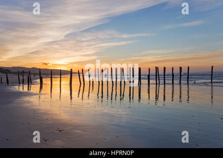 Dunedin, Otago, Neuseeland. Blick entlang St Clair Beach bei Sonnenaufgang, legendäre Reihe von Holzpfählen spiegelt sich im Wasser. Stockfoto