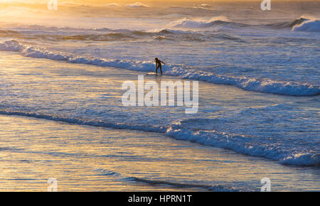 Dunedin, Otago, Neuseeland. Einsamer Surfer Wellen reiten, vom Pazifischen Ozean aus St Clair Beach, Sonnenaufgang, goldenes Licht spiegelt sich im Wasser. Stockfoto