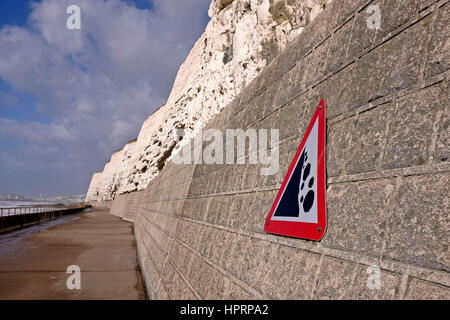 Kreide Klippen Erosion entlang der Undercliff Spaziergang zwischen Brighton and Rottingdean Sussex UK Stockfoto