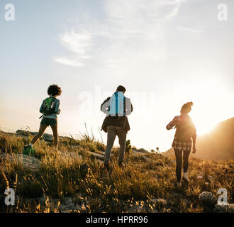 Rückansicht Schuss junger Menschen an einem Sommertag in der Natur wandern. Drei junge Freunde auf ein Land gehen. Stockfoto