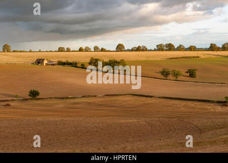 Blick über Ackerflächen zur Erntezeit in Oxfordshire, England, UK. Stockfoto