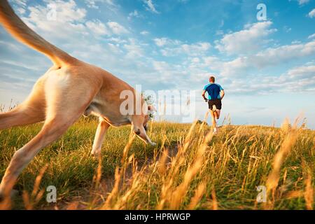 Sport-Lifestyle mit Hund. Sportlicher junger Mann und Labrador Retriever laufen auf dem Hügel außerhalb der Stadt. Stockfoto