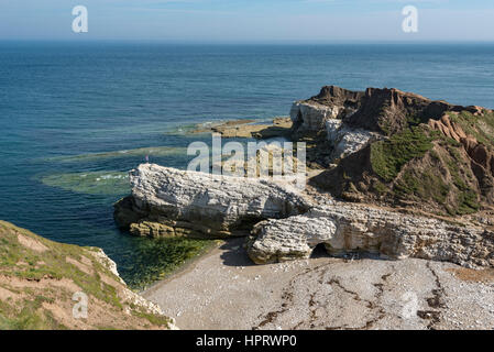 Thornwick nab, eine Fläche von atemberaubenden Landschaft an der Thornwick Bay in der Nähe von Flamborough, North Yorkshire. Stockfoto