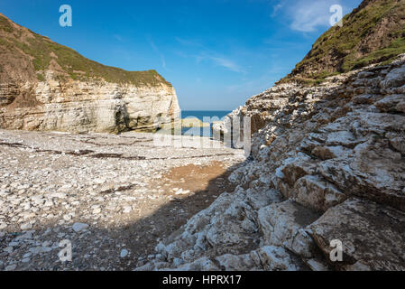 Schöne Kieselstrand am Thornwick Bucht, Flamborough Head an der Ostküste von England. Ein beliebtes Ausflugsziel mit atemberaubenden Landschaft. Stockfoto