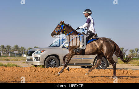 Dubai, Vereinigte Arabische Emirate - 19. Dezember 2014: Reiter und sein Pferd in eine Wüste Langstrecken-Rennen teilnehmen. Stockfoto