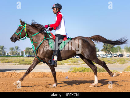 Dubai, Vereinigte Arabische Emirate - 19. Dezember 2014: Reiter und sein Pferd in eine Wüste Langstrecken-Rennen teilnehmen. Stockfoto