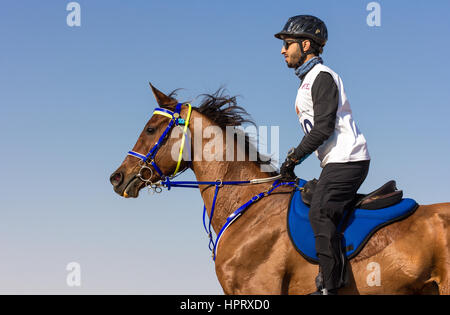 Dubai, Vereinigte Arabische Emirate - 19. Dezember 2014: Reiter und sein Pferd in eine Wüste Langstrecken-Rennen teilnehmen. Stockfoto