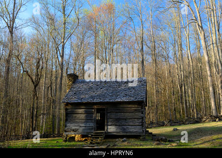 Alex Cole Bauernhof, Blockhaus, Ferienhaus, Gehöft, Haus, Roaring Fork Motor Naturlehrpfad, weiße Hartriegel, Frühling, LeConte Creek, Great Smoky Mountain Nat Stockfoto