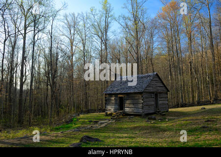 Alex Cole Bauernhof, Blockhaus, Ferienhaus, Gehöft, Haus, Roaring Fork Motor Naturlehrpfad, weiße Hartriegel, Frühling, LeConte Creek, Great Smoky Mountain Nat Stockfoto