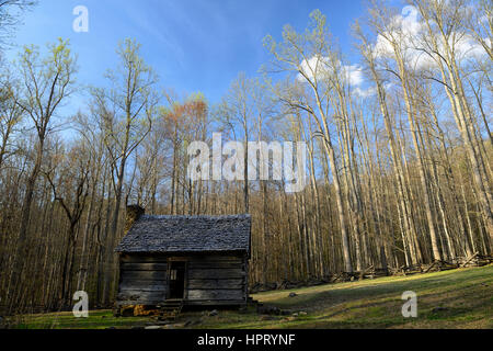 Alex Cole Bauernhof, Blockhaus, Ferienhaus, Gehöft, Haus, Roaring Fork Motor Naturlehrpfad, weiße Hartriegel, Frühling, LeConte Creek, Great Smoky Mountain Nat Stockfoto