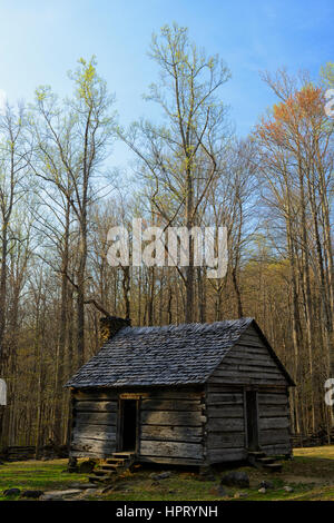 Alex Cole Bauernhof, Blockhaus, Ferienhaus, Gehöft, Haus, Roaring Fork Motor Naturlehrpfad, weiße Hartriegel, Frühling, LeConte Creek, Great Smoky Mountain Nat Stockfoto