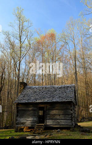 Alex Cole Bauernhof, Blockhaus, Ferienhaus, Gehöft, Haus, Roaring Fork Motor Naturlehrpfad, weiße Hartriegel, Frühling, LeConte Creek, Great Smoky Mountain Nat Stockfoto