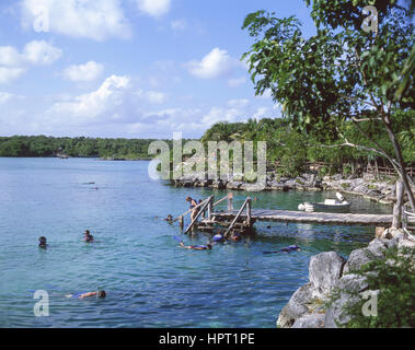 Schnorchler Eingabe Lagune bei Xel-Ha Nationalpark, Riviera Maya, Bundesstaat Quintana Roo, Mexiko Stockfoto