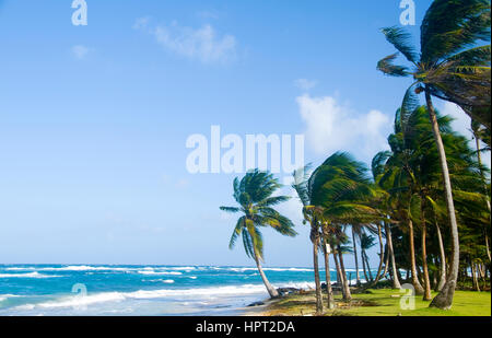 Sally Peachie Beach Big Corn Island Nicaragua Mittelamerika am karibischen Meer Stockfoto