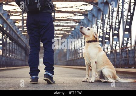 Mann geht mit seinem gelben Labrador Retriever auf der alten Brücke Stockfoto