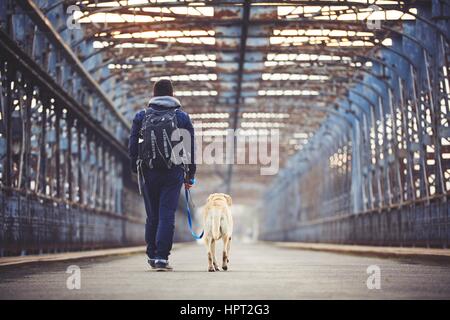 Mann geht mit seinem gelben Labrador Retriever auf der alten Brücke Stockfoto