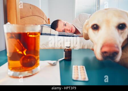 Treuer Hund und seinem kranken Besitzer im Bett. Heißen Tee und Medizin auf dem Tisch. Stockfoto