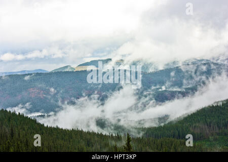 Nebel in den Bergen. Nebel, Regen über den Wald, Bäume in Bergen Karpaten, Ukraine. Dramatischer Himmel. Stockfoto