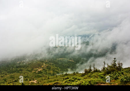 Nebel in den Bergen. Nebel, Regen über den Wald, in Bergen Karpaten, Ukraine.Dramatic Himmel. Stockfoto